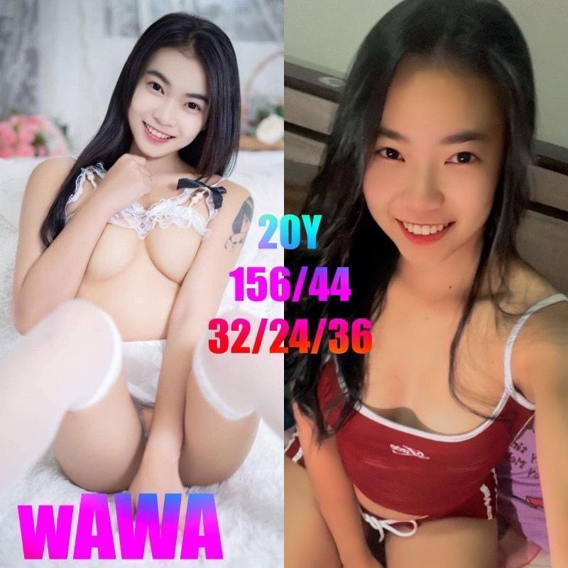THE333 WAWA